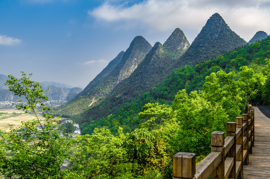 萬峰林五指峰