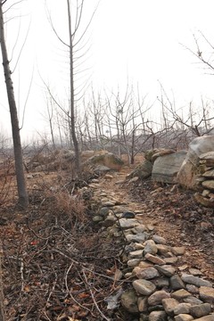 田間石子路