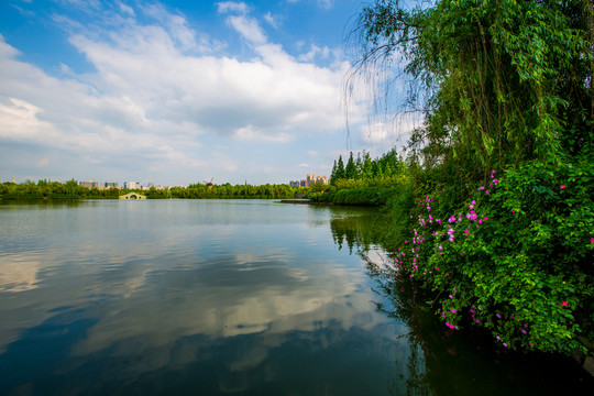 南湖公園