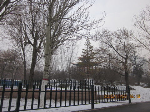冬天的雪