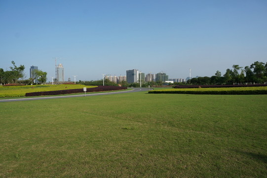 新區(qū)