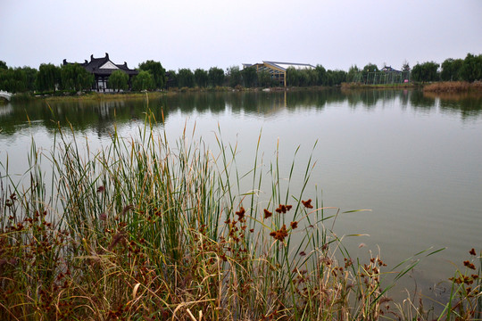 湖水