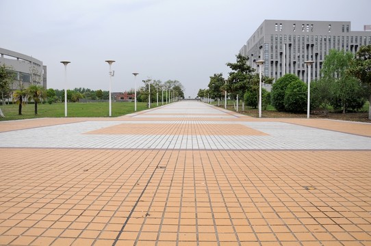 校園景色 大學(xué)校園