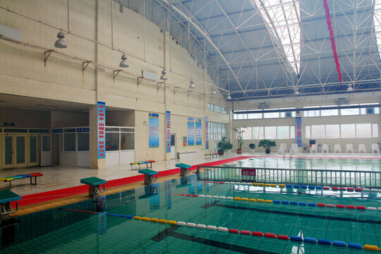 游泳 游泳館 水池 游泳池