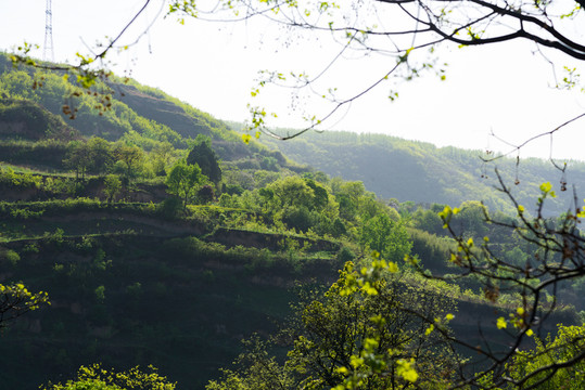田園風(fēng)光