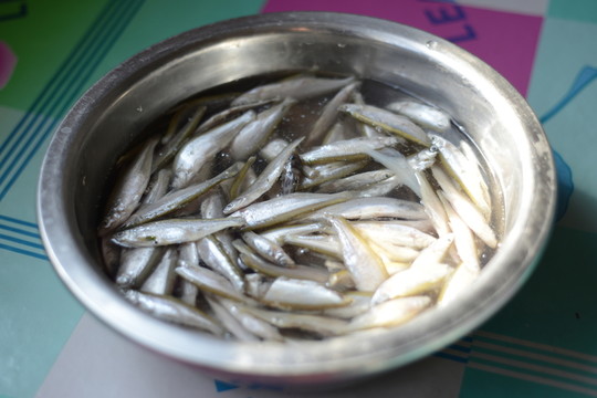 小魚