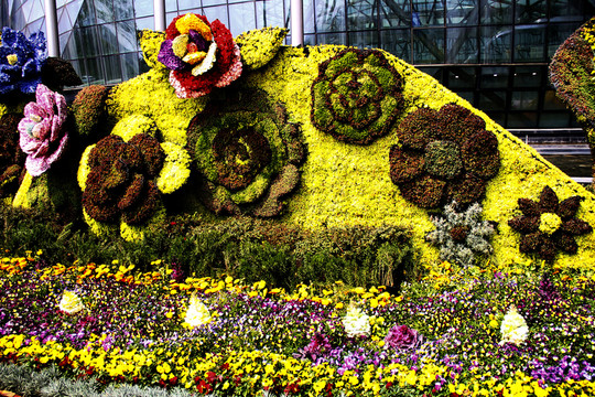花花草草