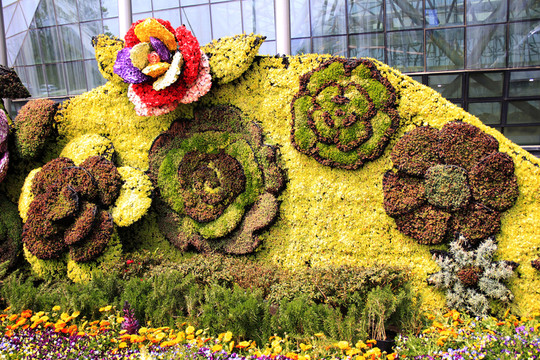 花卉裝飾 特色背景 個性背景