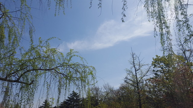 天空