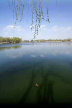湖