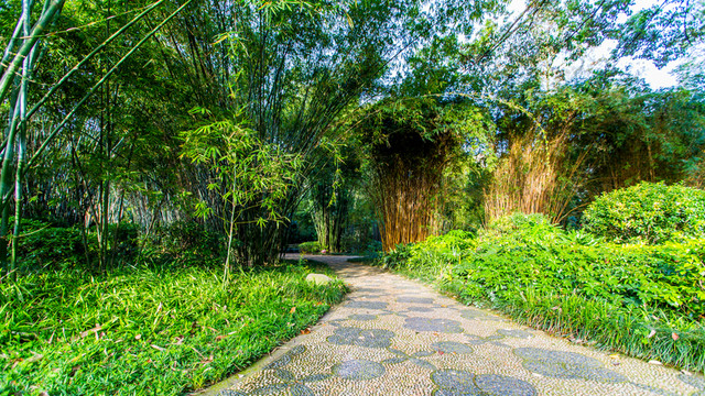 望江公園