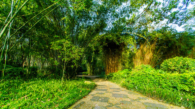望江公園