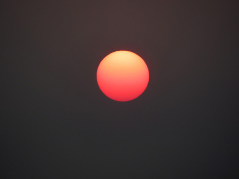 太陽