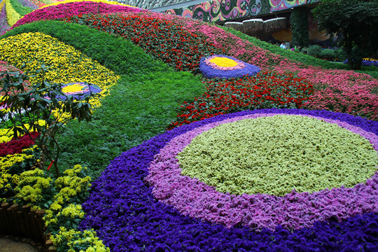 鮮花背景 花底紋 花卉