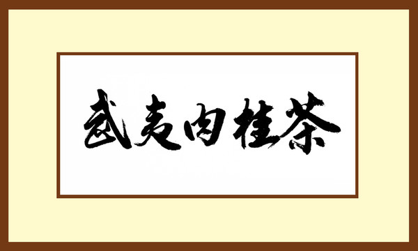 武夷肉桂茶