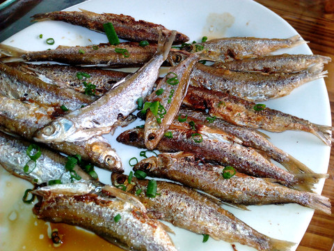 香煎小魚
