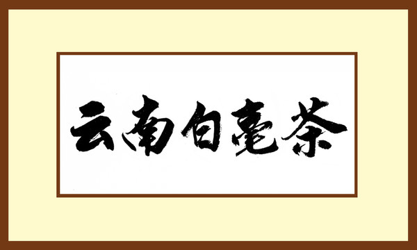 云南白毫茶