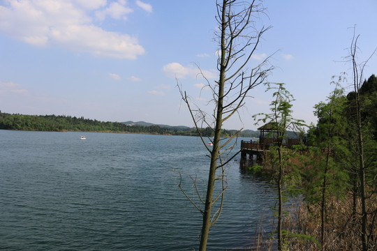 水庫 湖泊