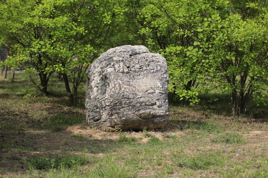 公園里的石頭