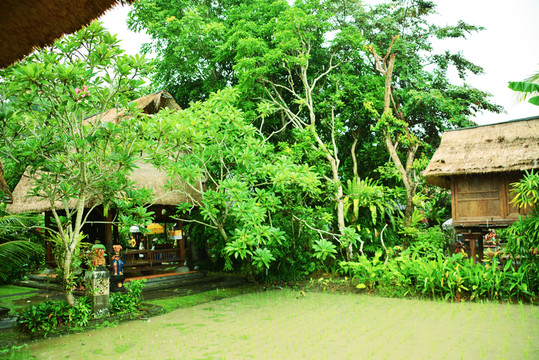 巴厘島 laka leke餐廳