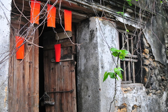 廣東民居 老屋 歲月 苔鮮