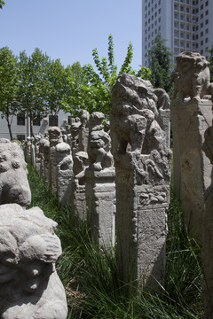 西安美院 拴馬樁
