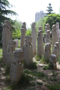 西安美院 拴馬樁