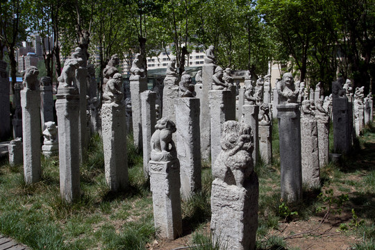西安美院 拴馬樁