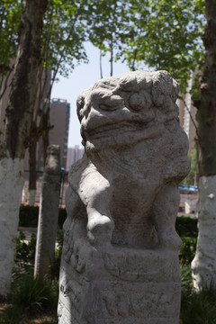 西安美院 拴馬樁