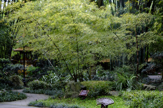 望江樓公園