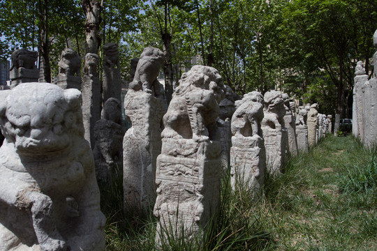 西安美院 拴馬樁
