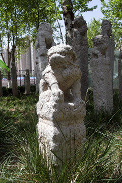 西安美院 拴馬樁