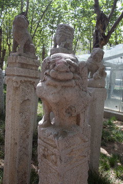 西安美院 拴馬樁
