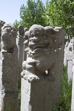 西安美院 拴馬樁