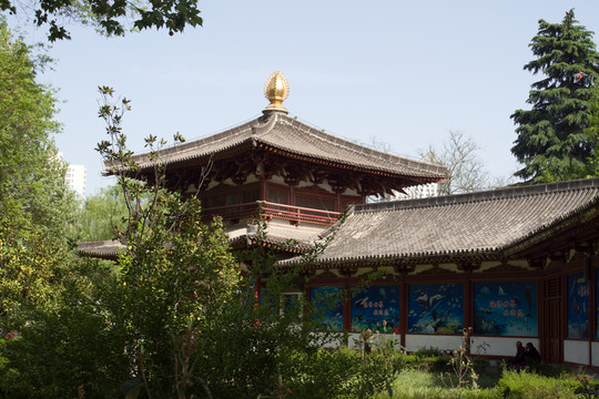 興慶公園 龍?zhí)? loading=