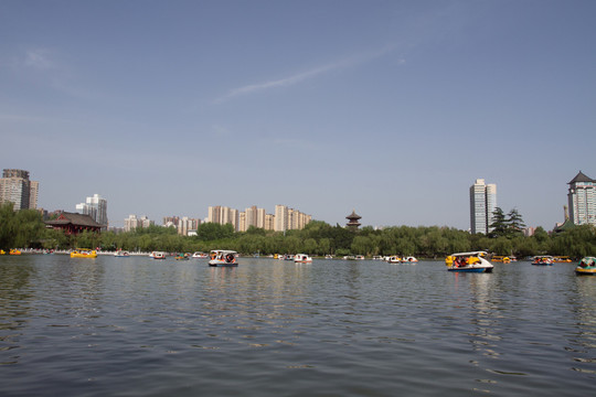 興慶公園 龍池