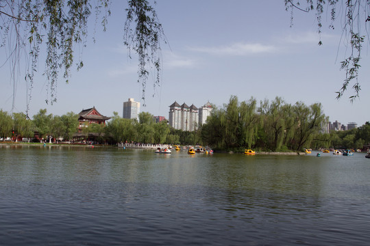 興慶公園 龍池