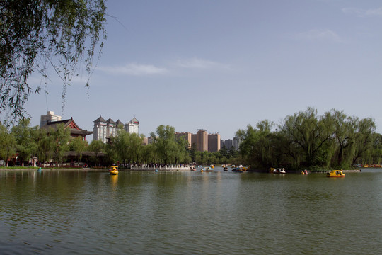 興慶公園 龍池