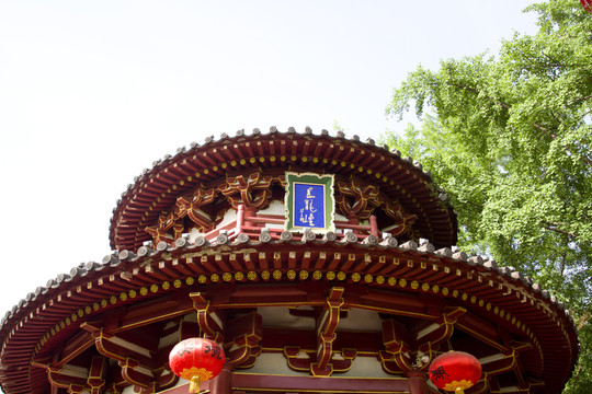 興慶公園 五龍壇 特寫