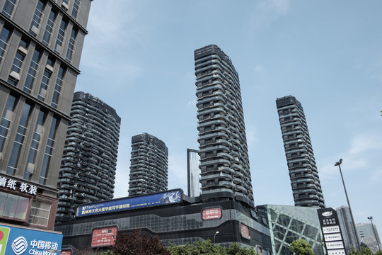城市
