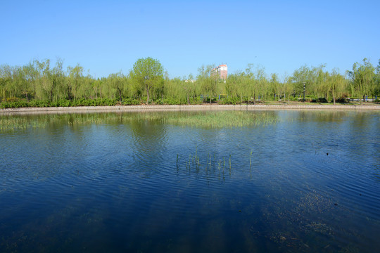 湖