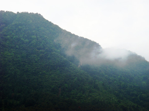云海 高山 仙境 風(fēng)景 風(fēng)光