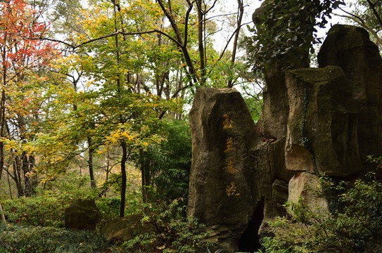 玉蘭園