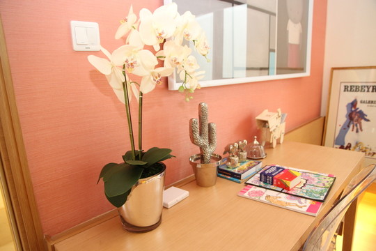 樣板房軟包裝飾設計 樣板家居