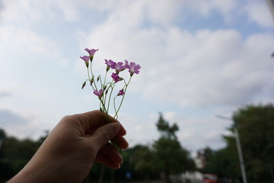 手上花