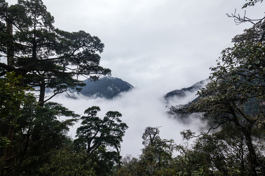 湖南莽山將軍寨（鬼子寨）