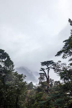 湖南莽山將軍寨（鬼子寨）