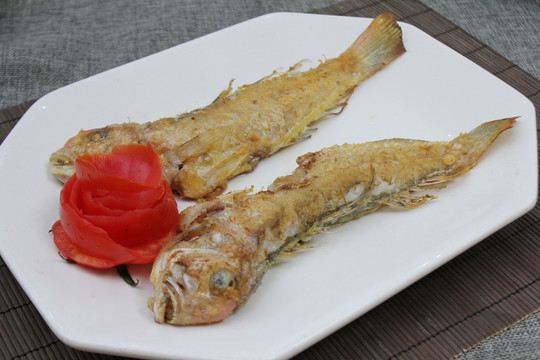 小黃魚
