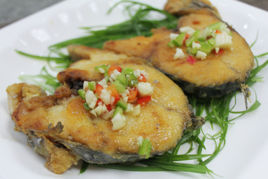鱘魚