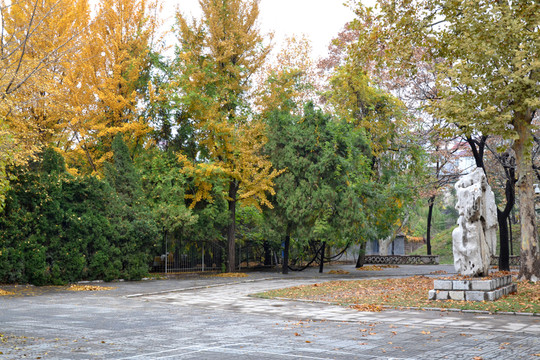 公園一角